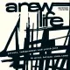A New Life 2x12"